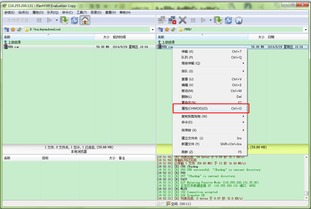 FTP服務(wù)器軟件下載與配置 軟件開發(fā)者的指南